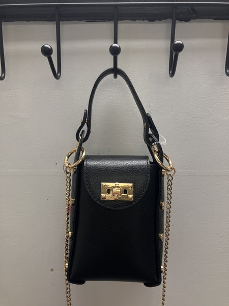 Anna Paula Purse